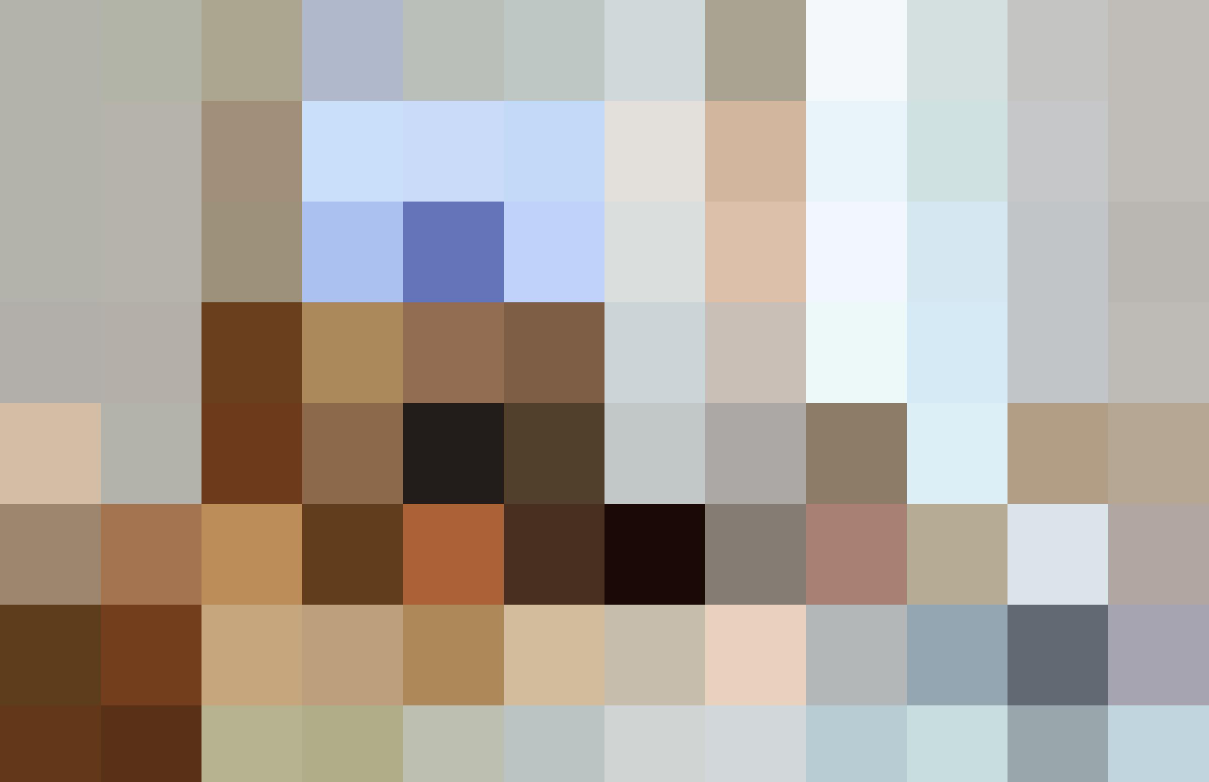 20230810 nytfireplaces 0859 1200 x2