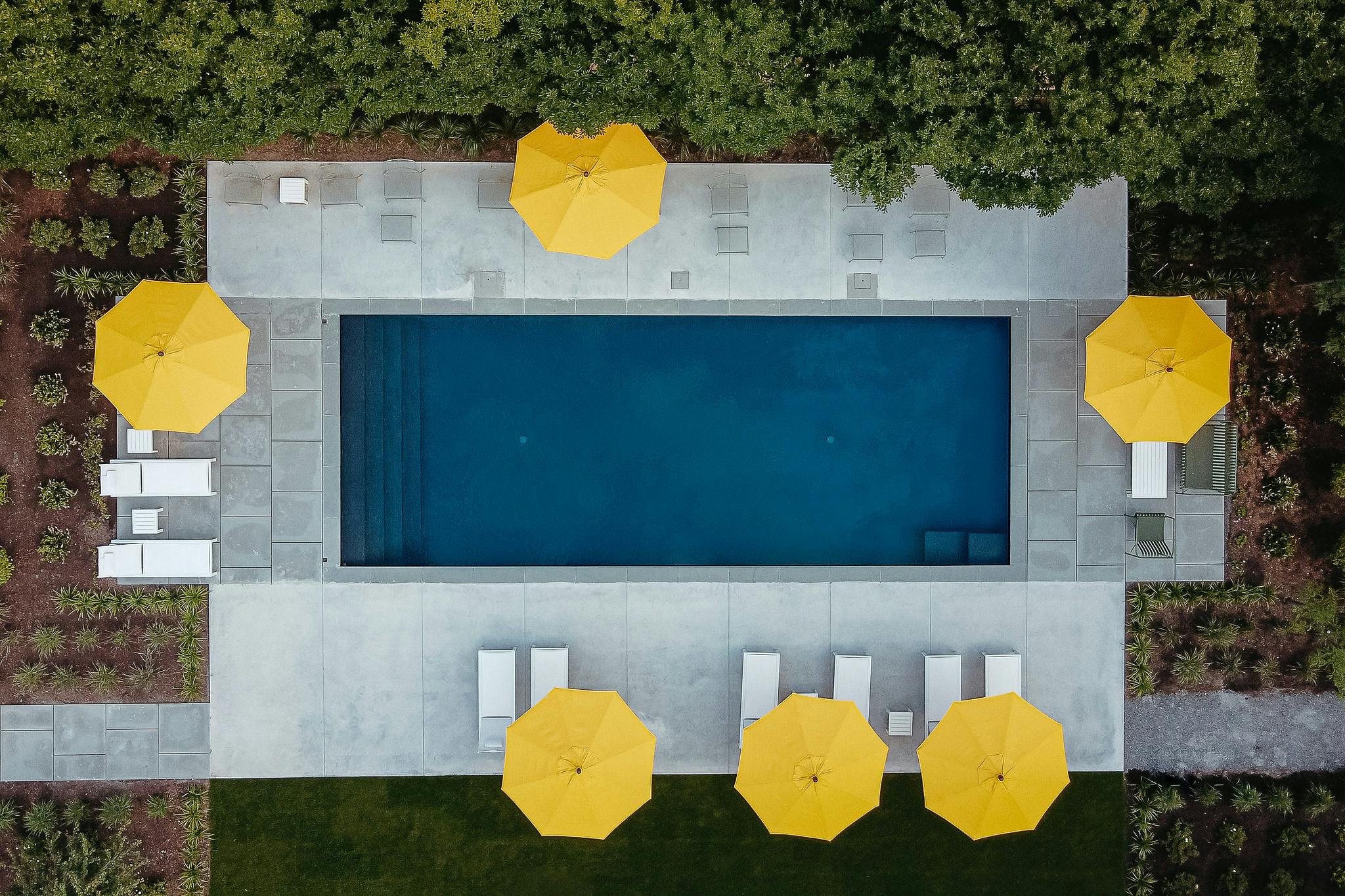 The Amelia Lawrence Braun