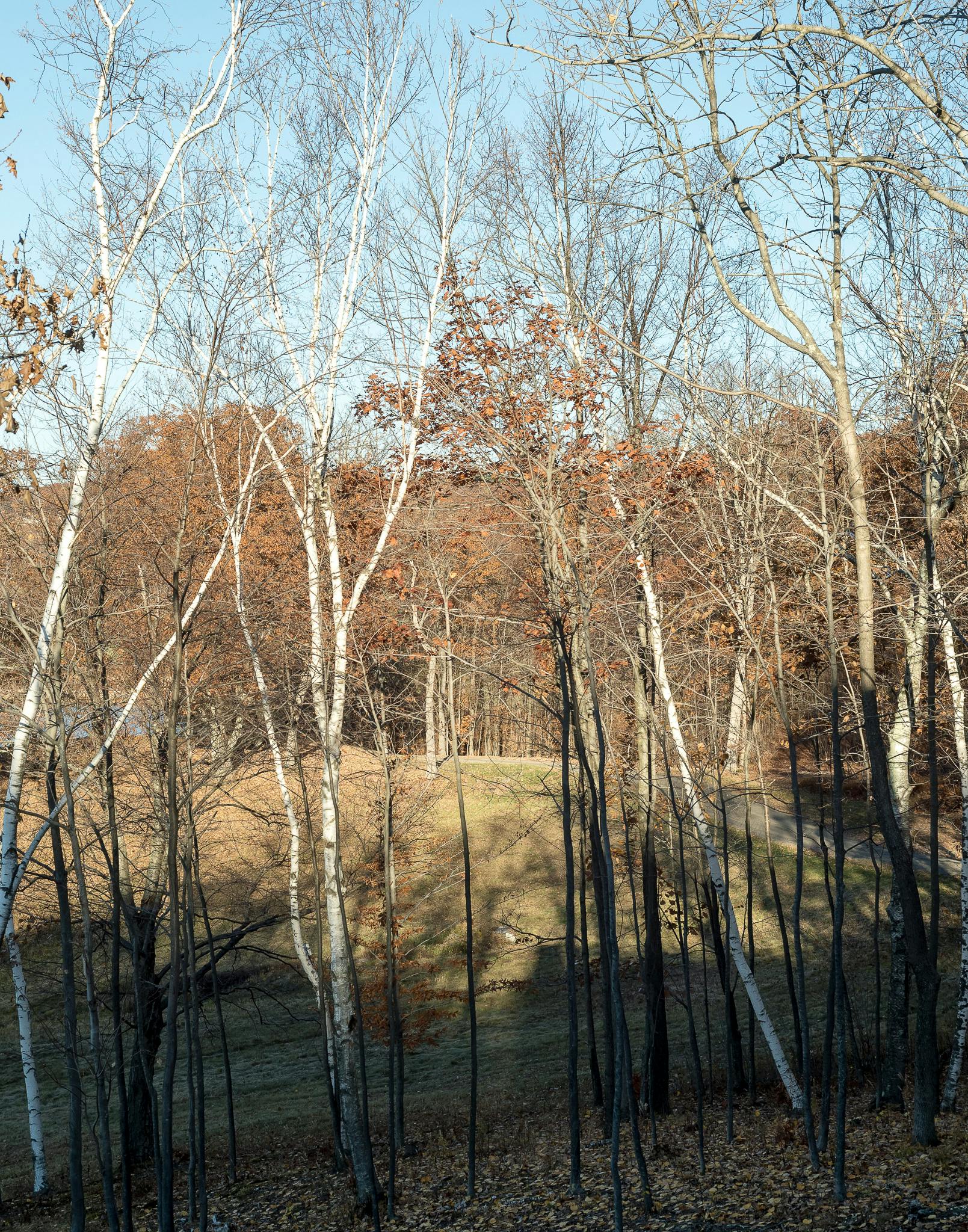 Barlis Hudson Property 006