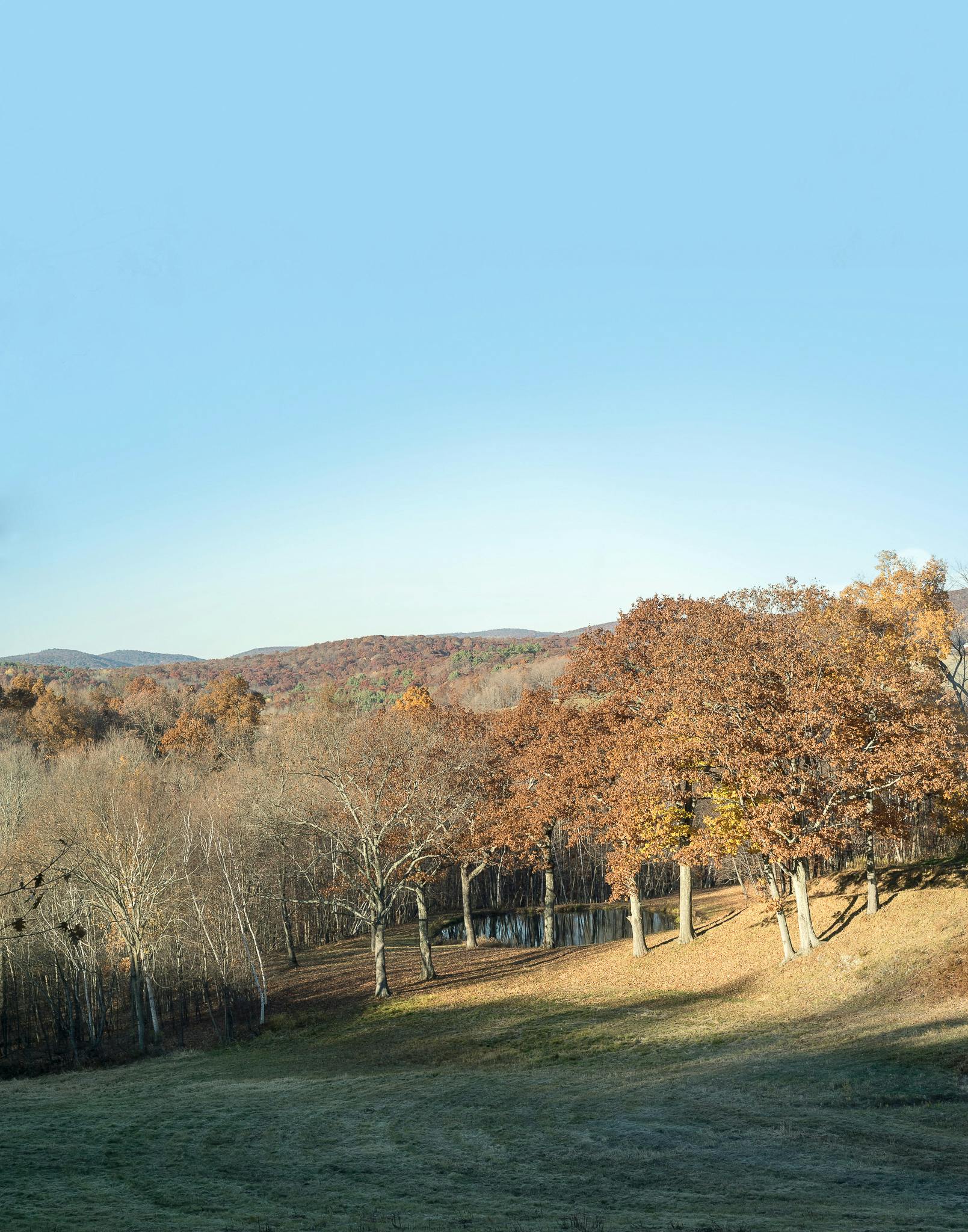 Barlis Hudson Property 013