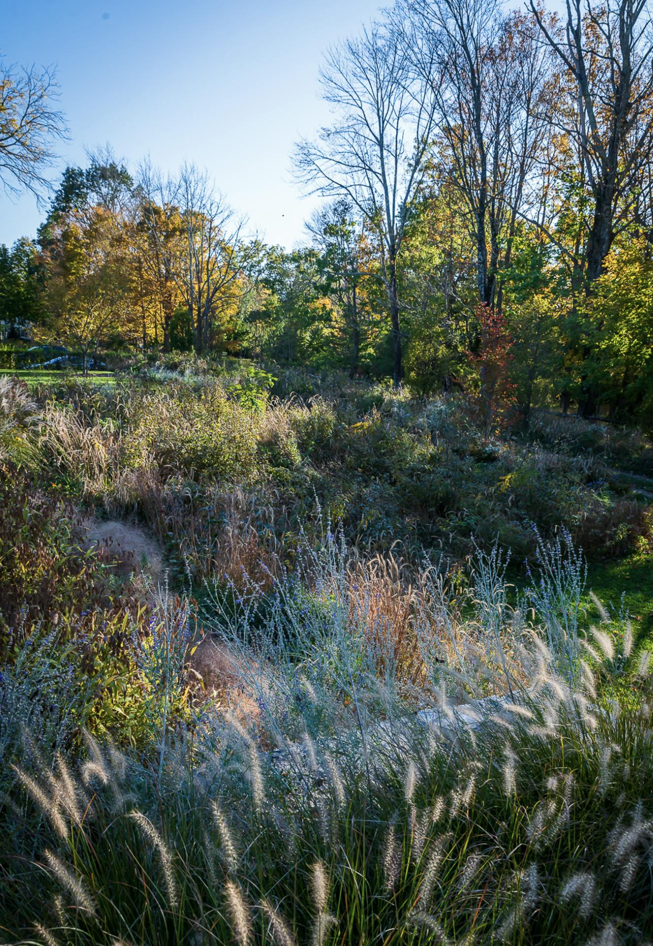 Screen Shot 2022 12 01 at 11 05 23 AM