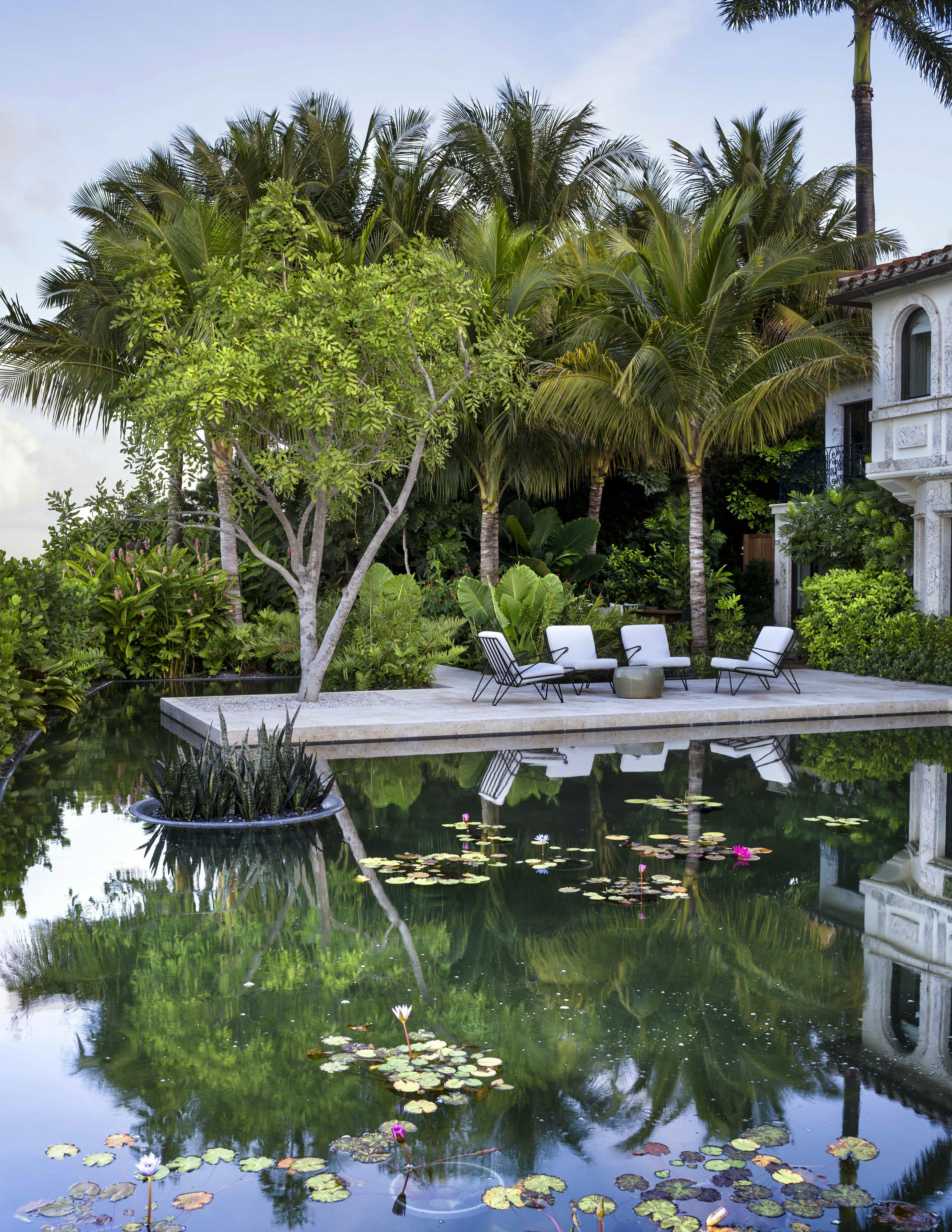 S Frances 131212 1015 C f